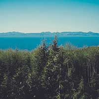 求个秒发货的轰炸别人手机号码软件