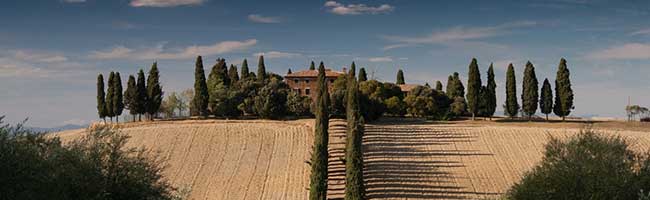 折扣优惠便宜的短信压力测试破解版