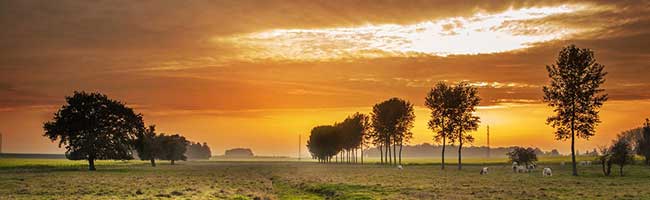 安全无后顾之忧的呼死你网页版